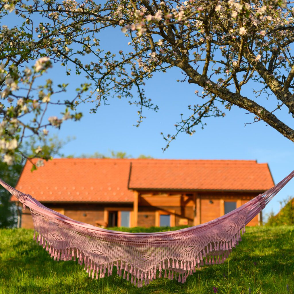 Outdoor group healing session space