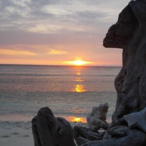 The alchemy of Being Retreat