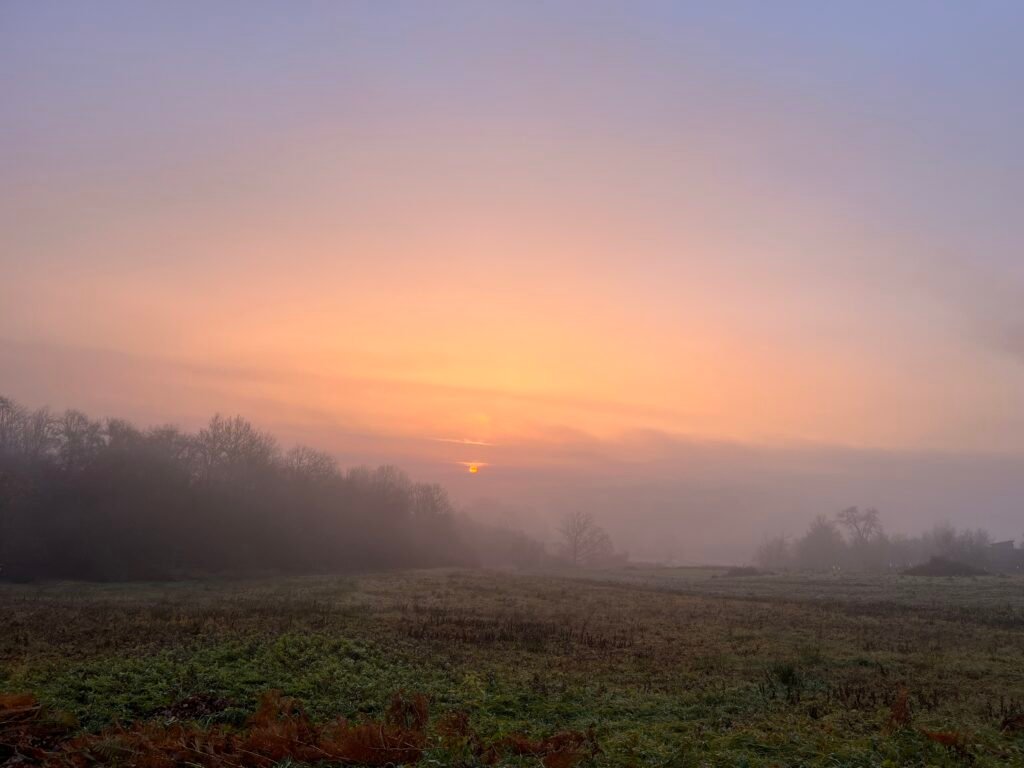 The Dawn of a New World: Transforming Lives Through Holistic Retreats Around the World